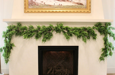 Black Friday Collection