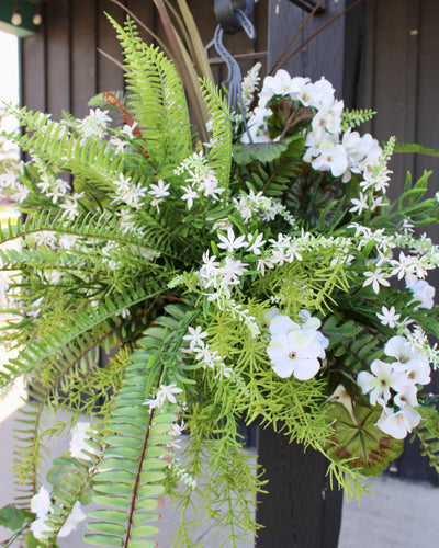 Outdoor Plants & Flowers
