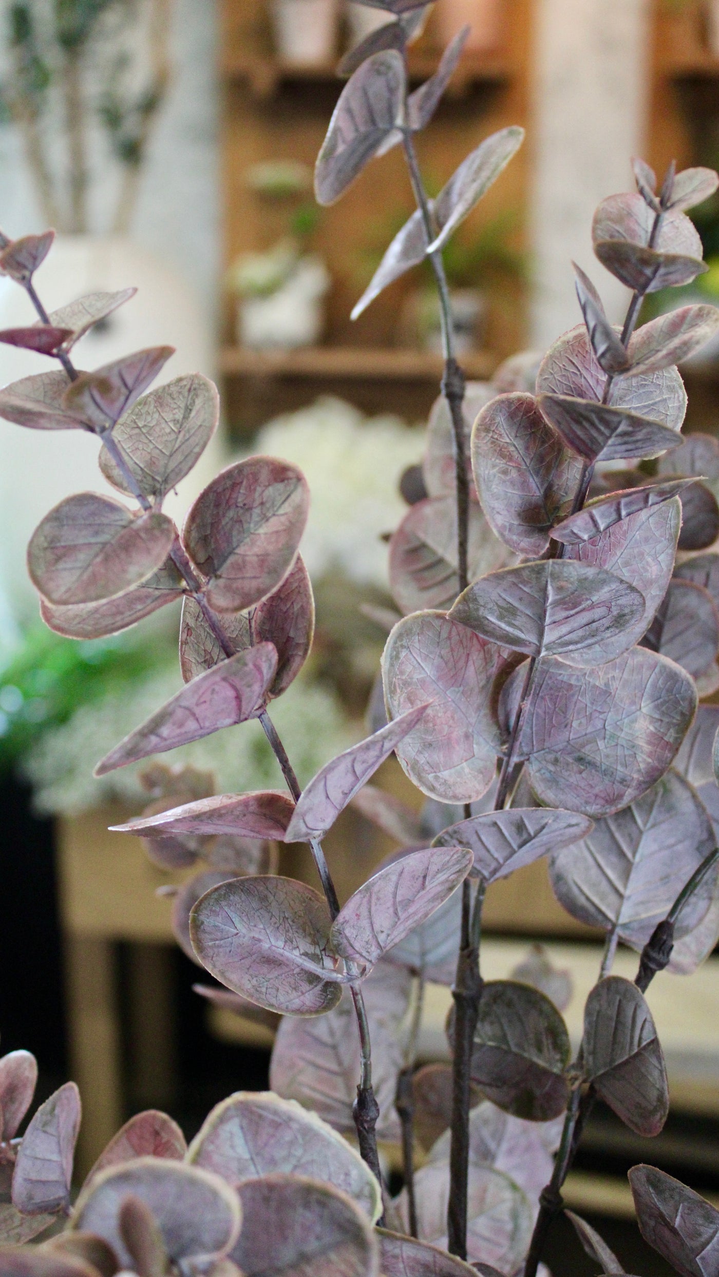 Burgundy Eucalyptus Spray