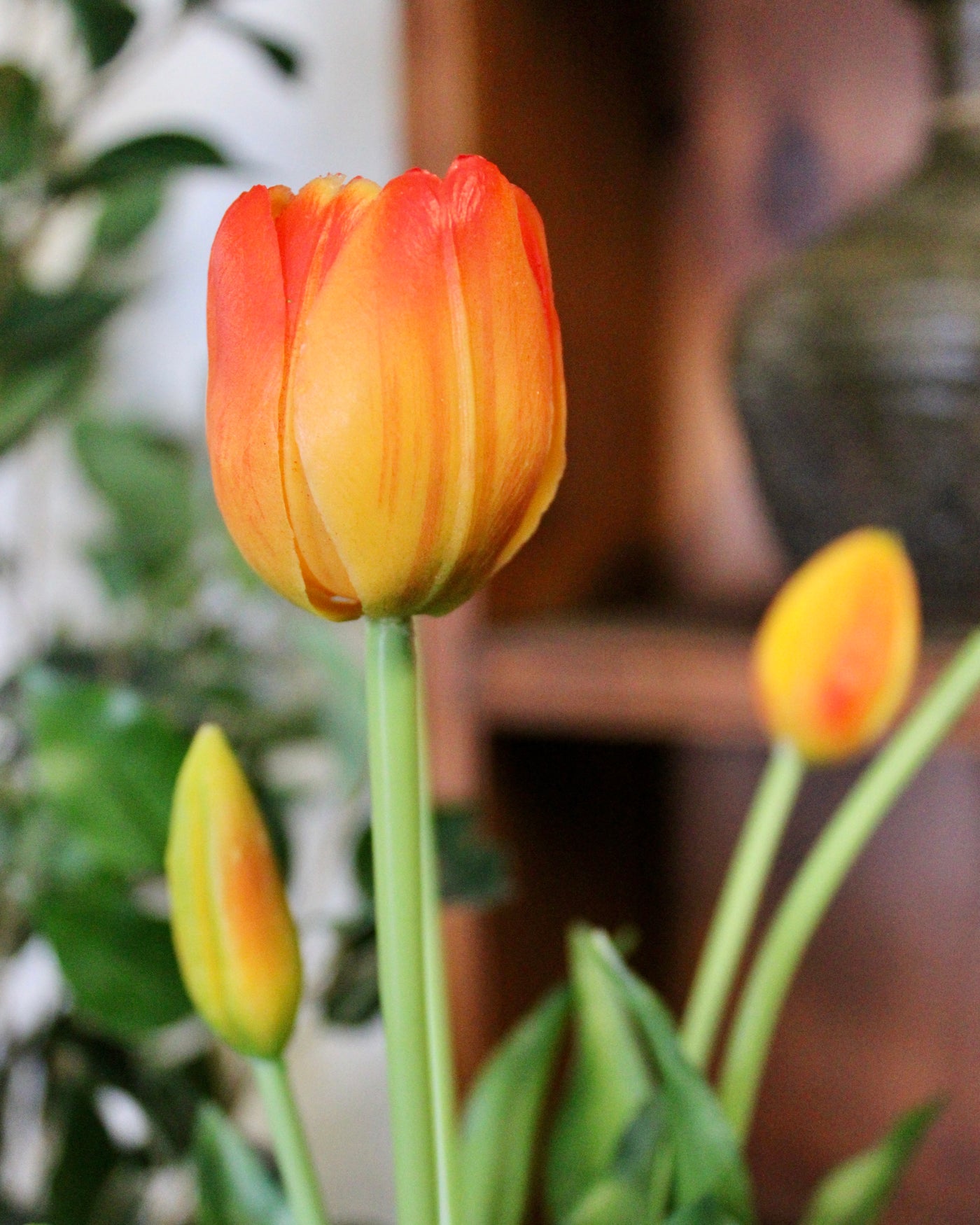 Orange Tulip Bundle (5 Stems)