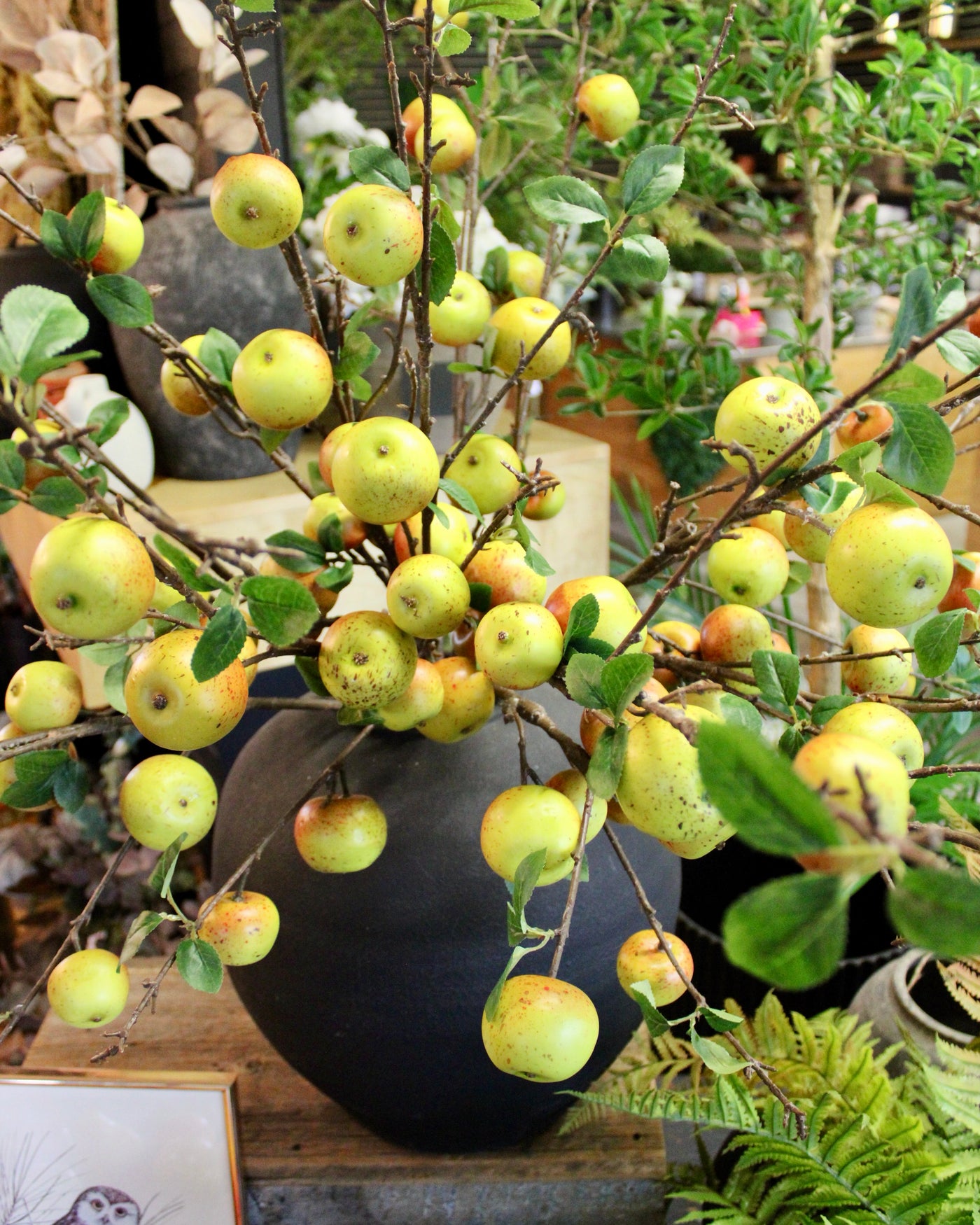 Apple Branch