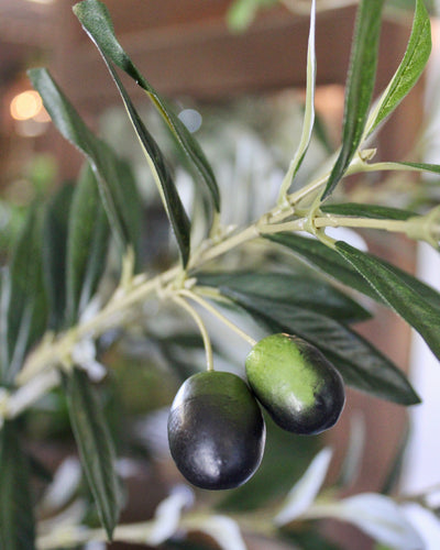 Olive Spray