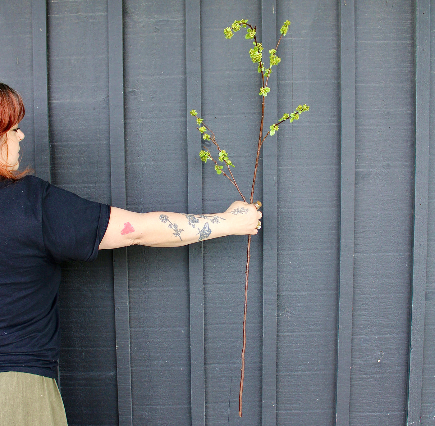 Seeded Branch