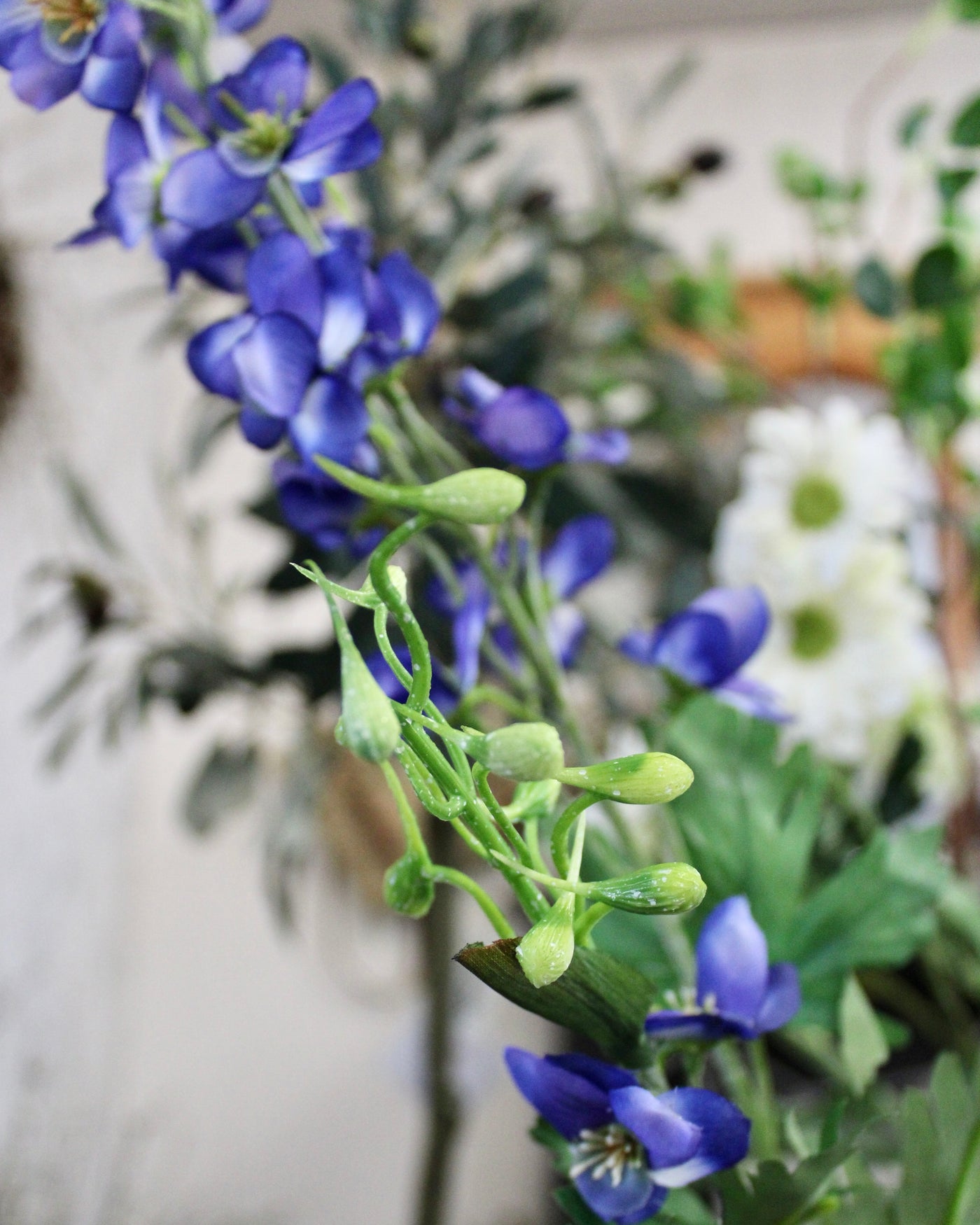 Blue Delphinium Stem