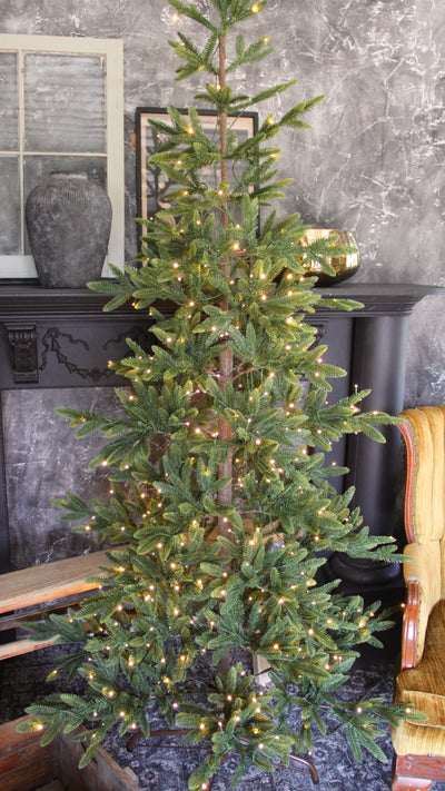 7’ Balsam Fir Tree