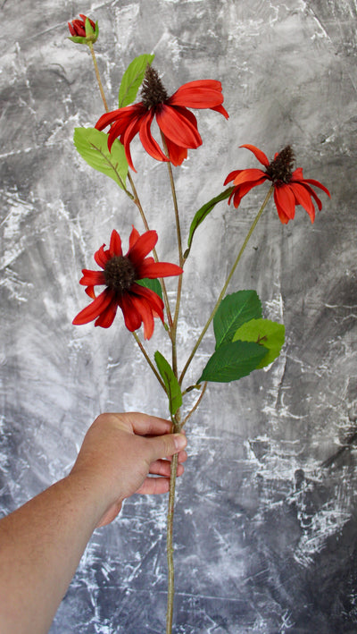 Cone Flower Stem