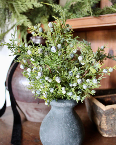 Juniper “Drop-In” Arrangement