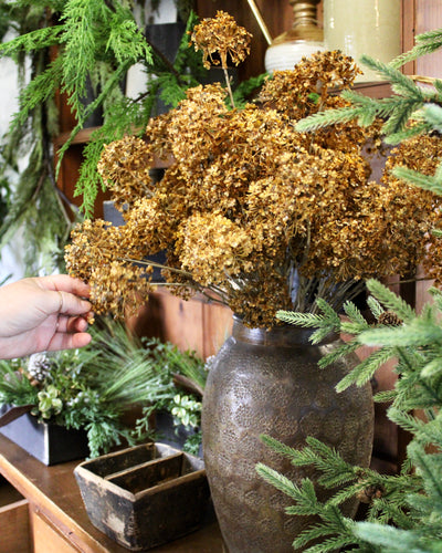 Golden Hydrangea Stem