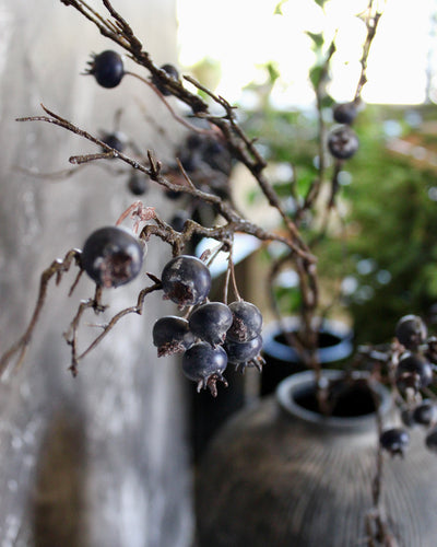 Blueberry Branch