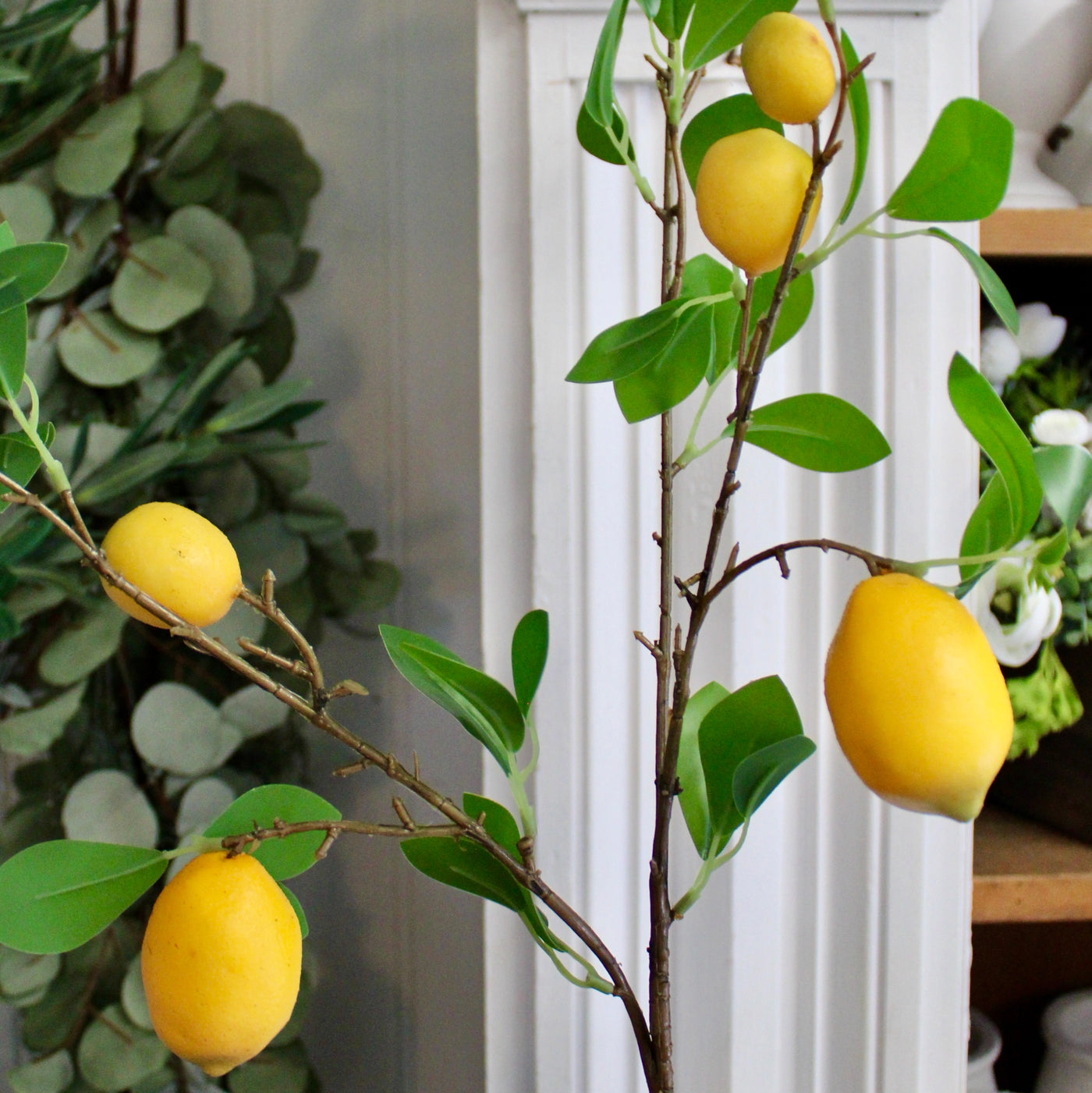 Lemon Branch