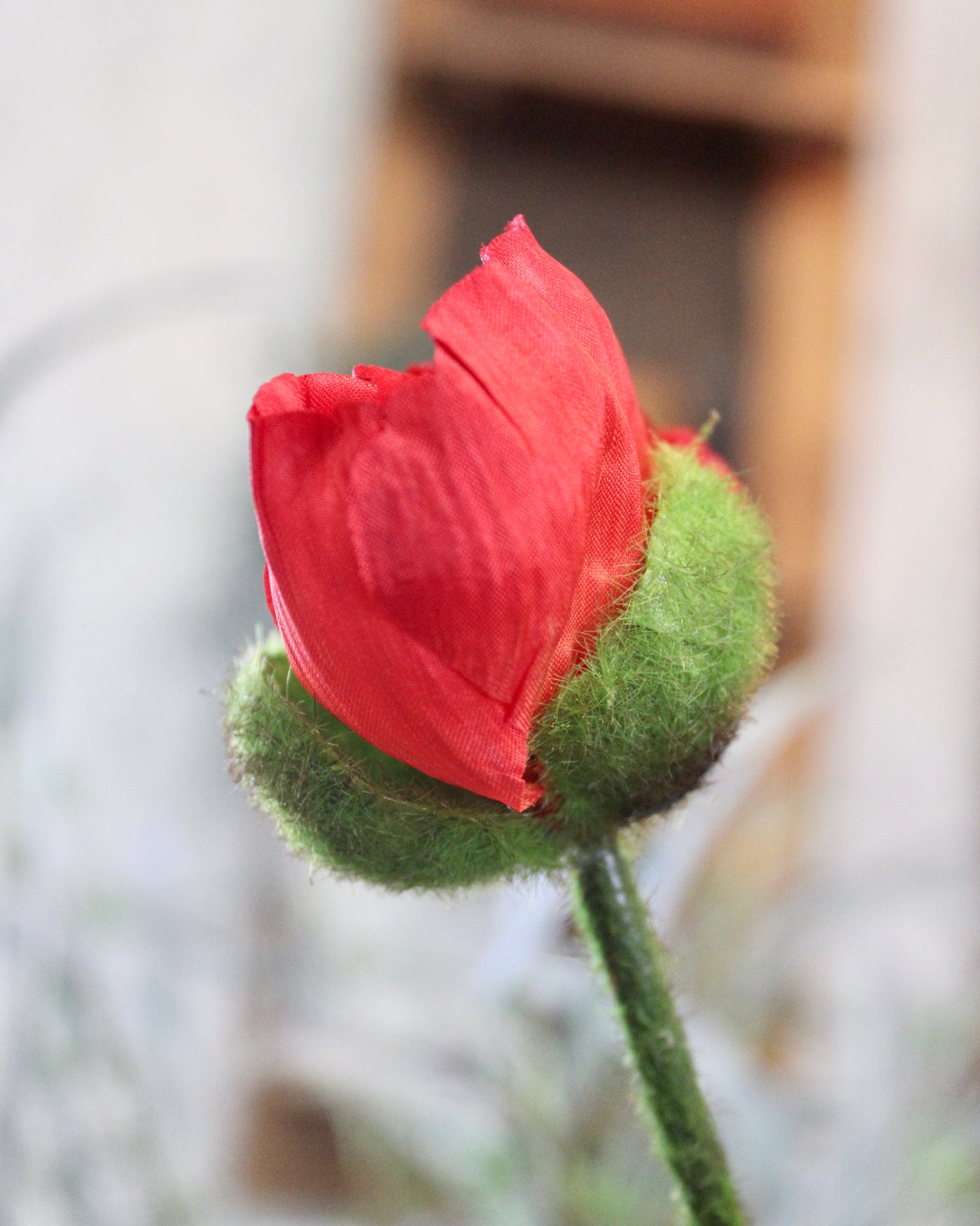 Red Poppy Stem