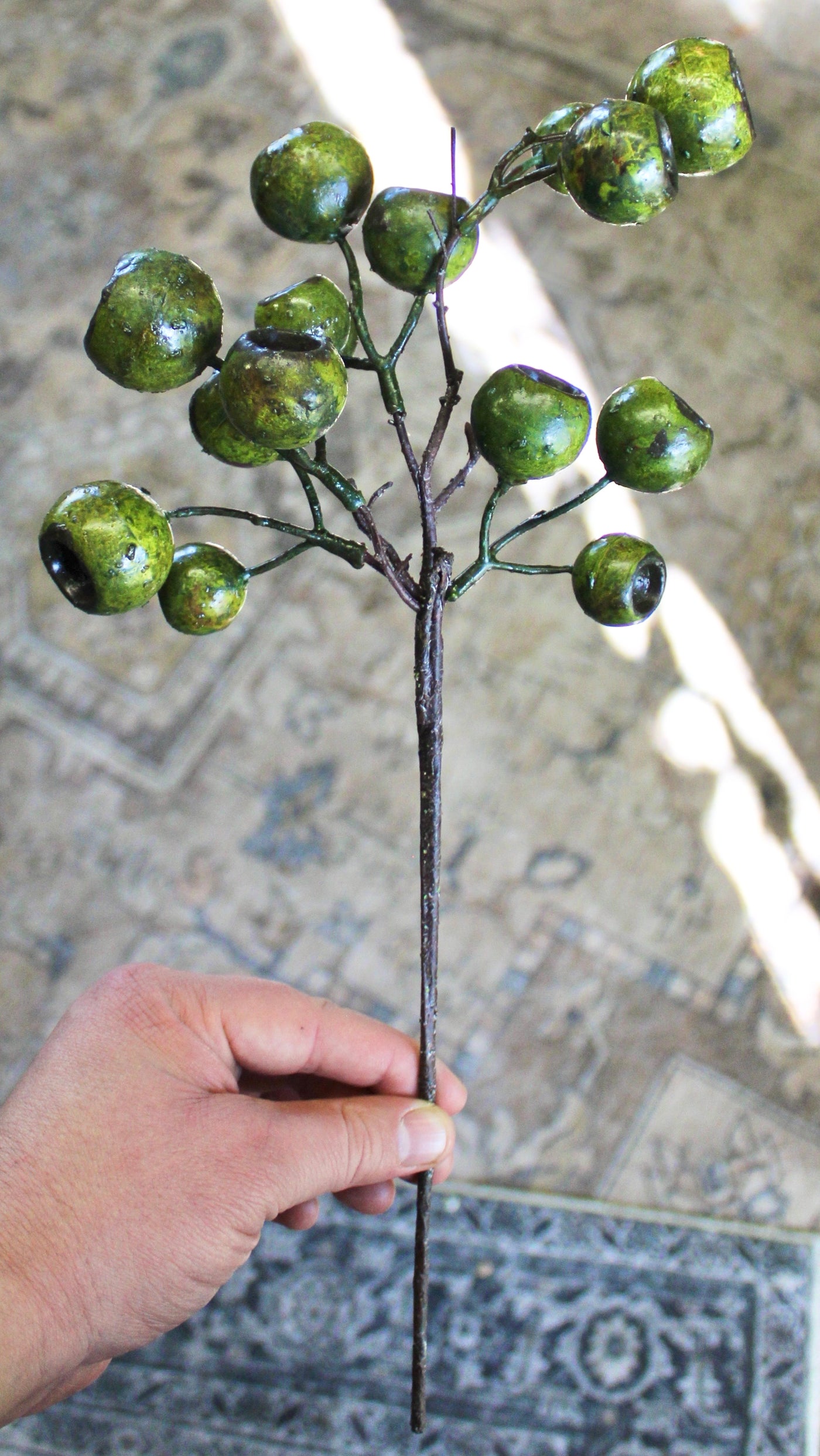 Lychee Pod Branch