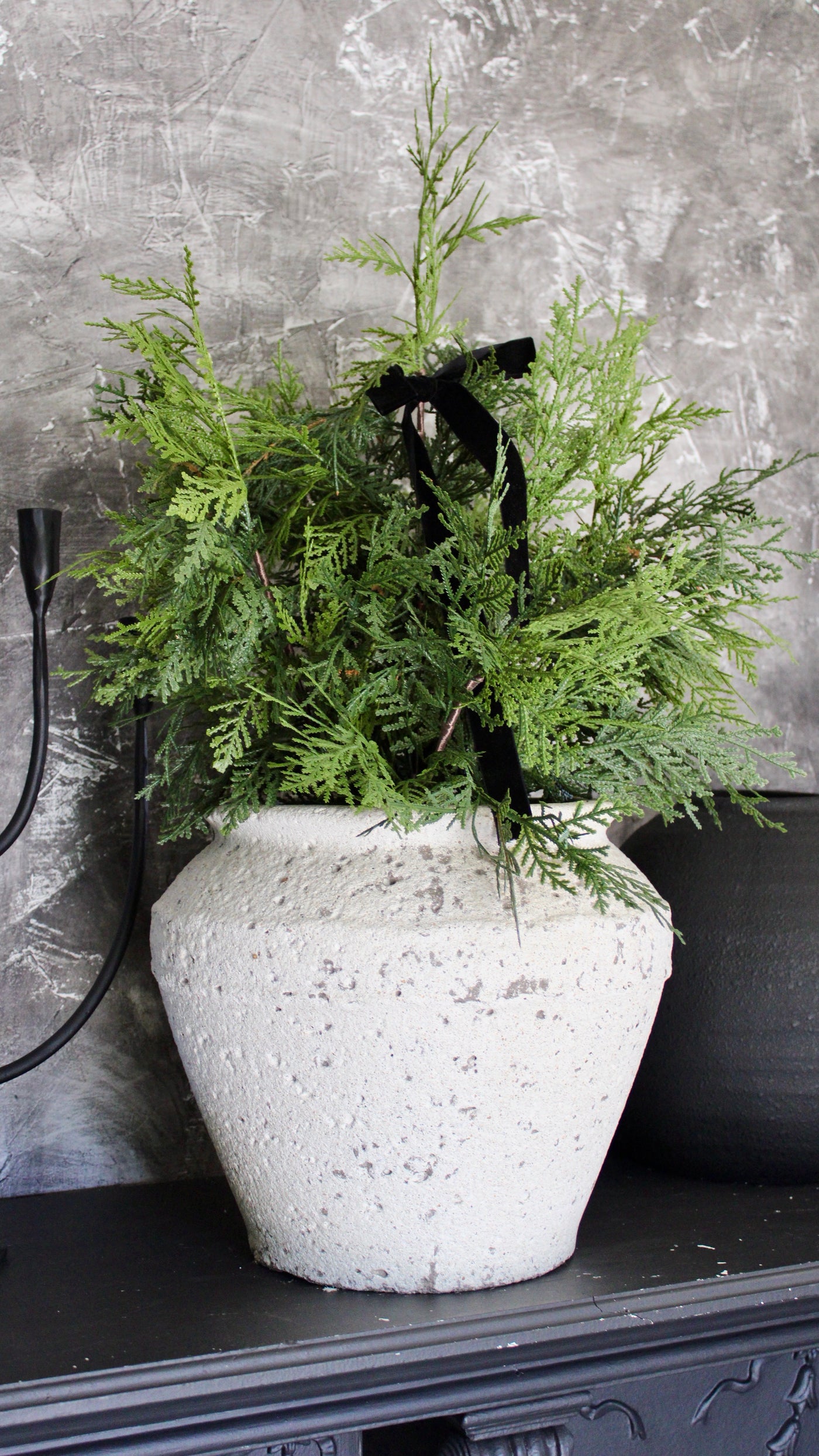 Potted 24” Fresh Touch White Cedar