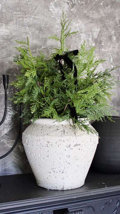 Potted 24” Fresh Touch White Cedar