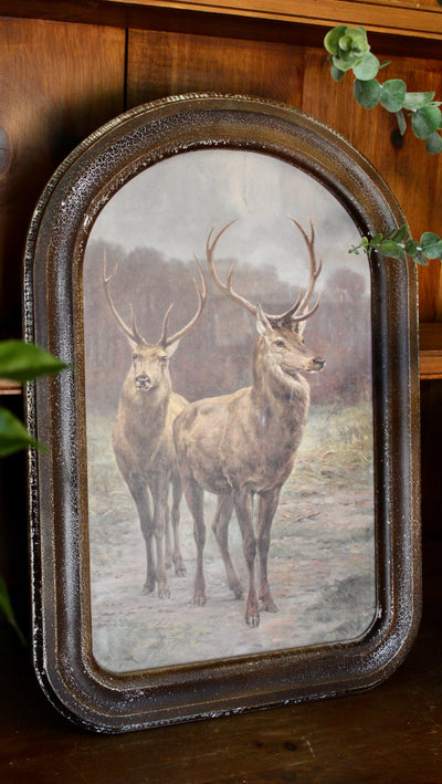 Arched Frame Stag Paintings