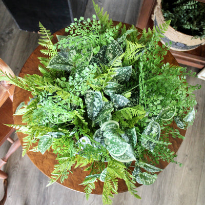 Mixed Fern & Pictus Centrepiece