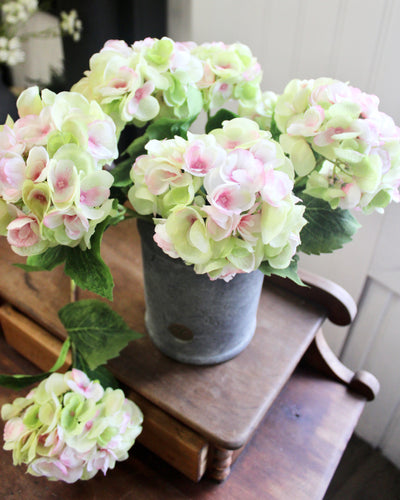 Pink & Green Hydrangea Stem