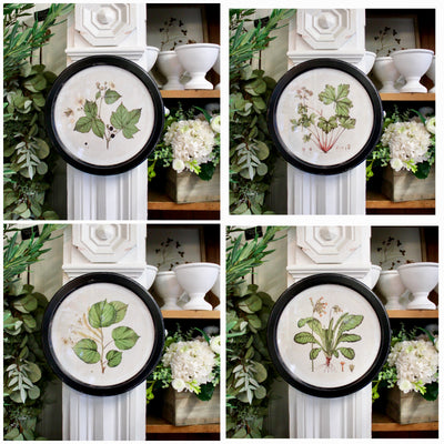 Round Frame Botanical Prints