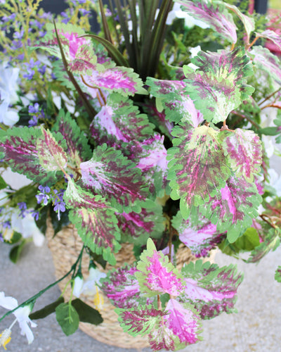 White Hibiscus & Coleus “Drop-In” Insert