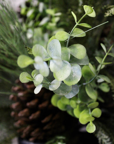 Hemlock & Eucalyptus “Drop-In”