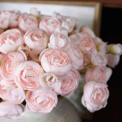 Blush Ranunculus Bundle