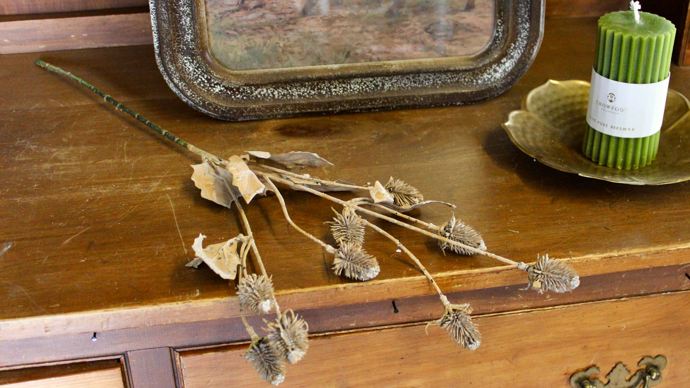 Faux Dried Thistle Spray