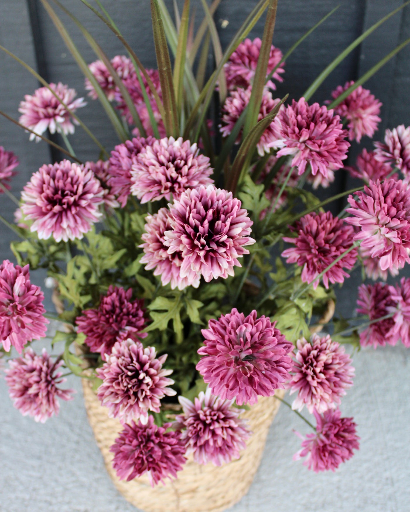 Mauve Mum “Drop-In”