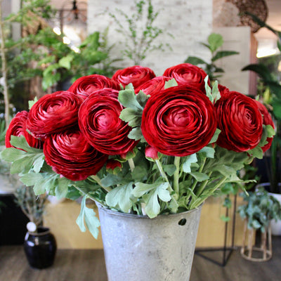 Deep Red Ranunculus Stem