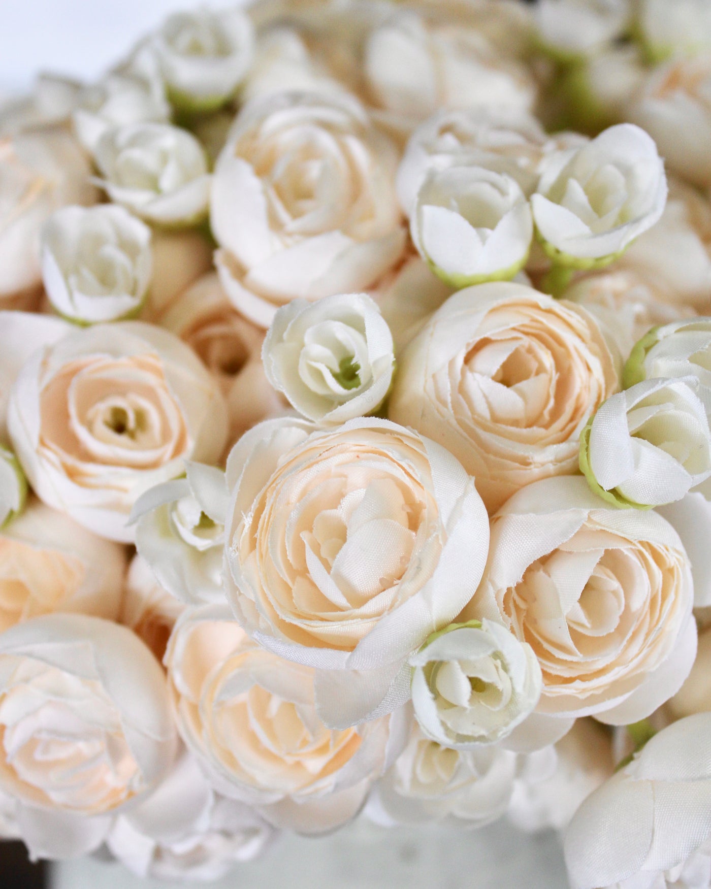 Peach Ranunculus Bundle