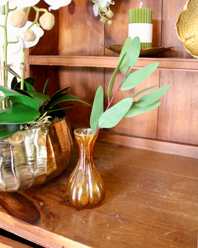 Willow Eucalyptus Stem (Unseeded)