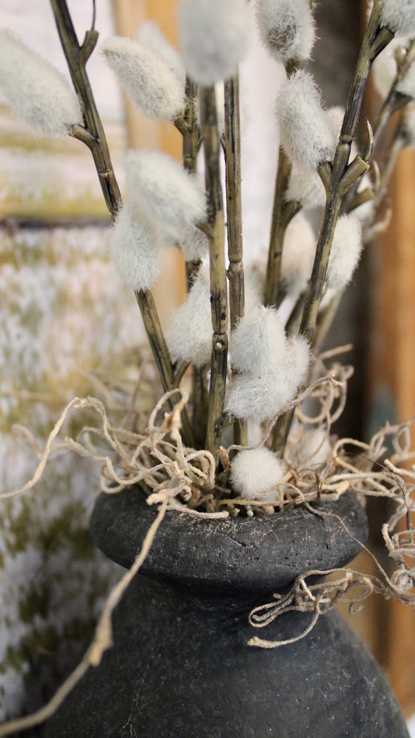 Potted Pussy Willow Bundle