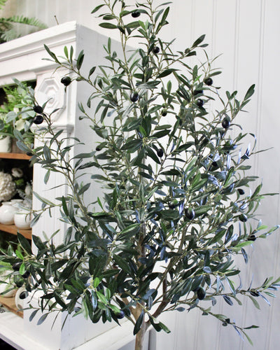 7.5’ Natural Trunk Olive Topiary Tree