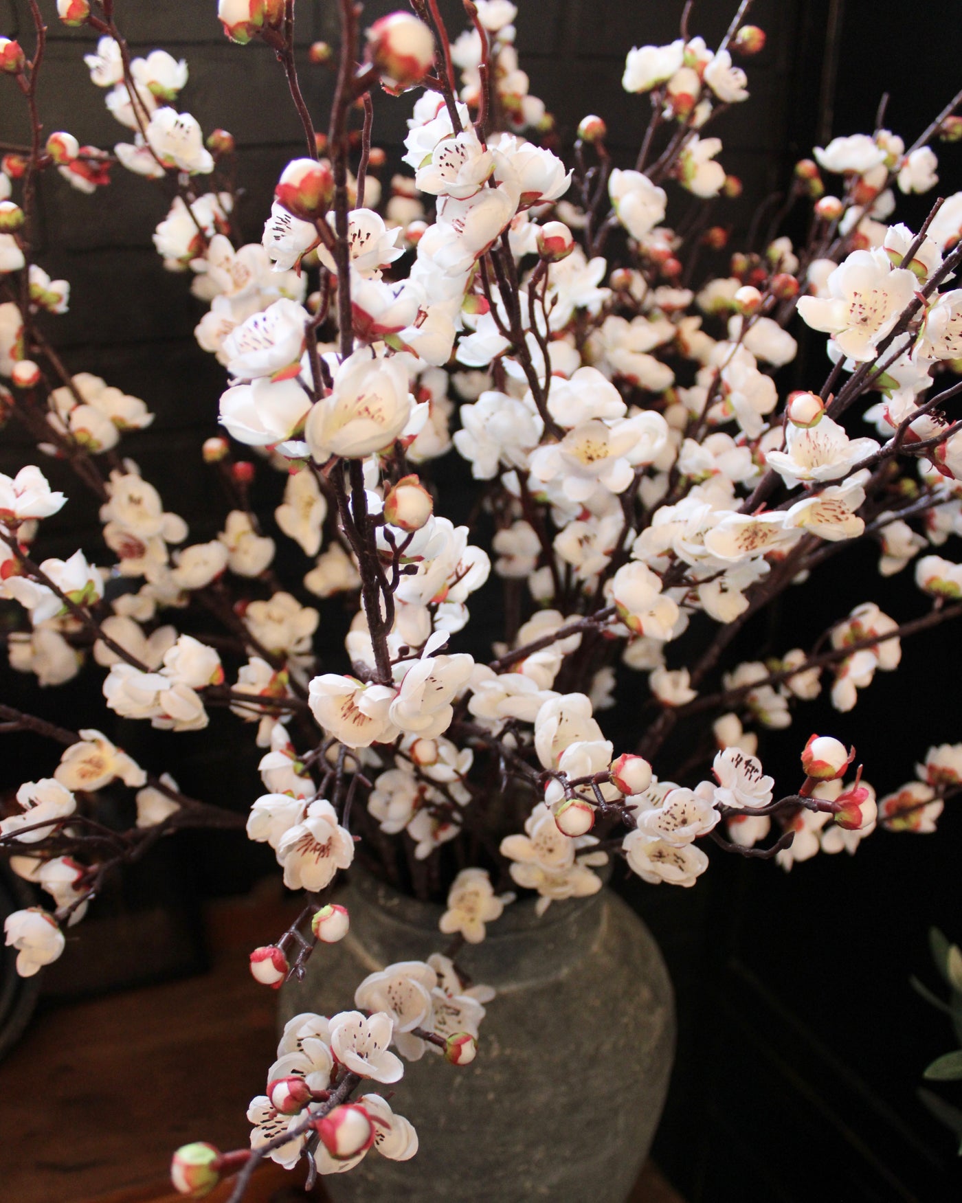 Cherry Blossom Branch