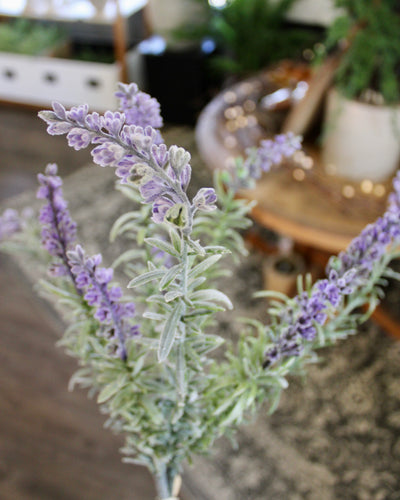 Lavender Bundle