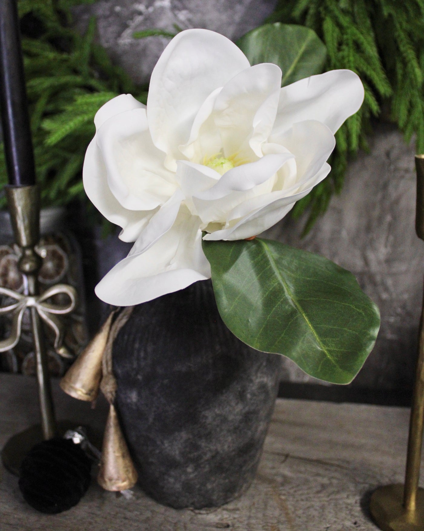 Magnolia Flower Branch