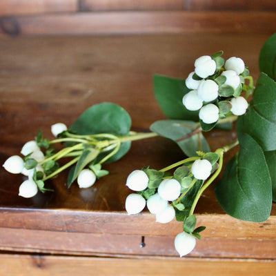 White Hypericum Berry Spray