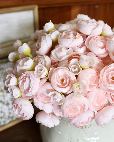 Blush Ranunculus Bundle