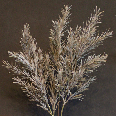 Rosemary Spray