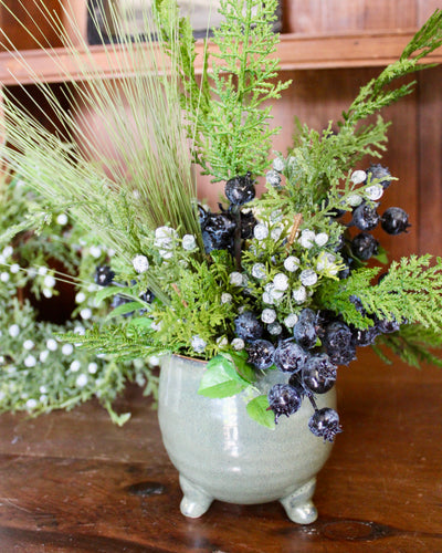 Potted Cedar & Blueberry Arrangement