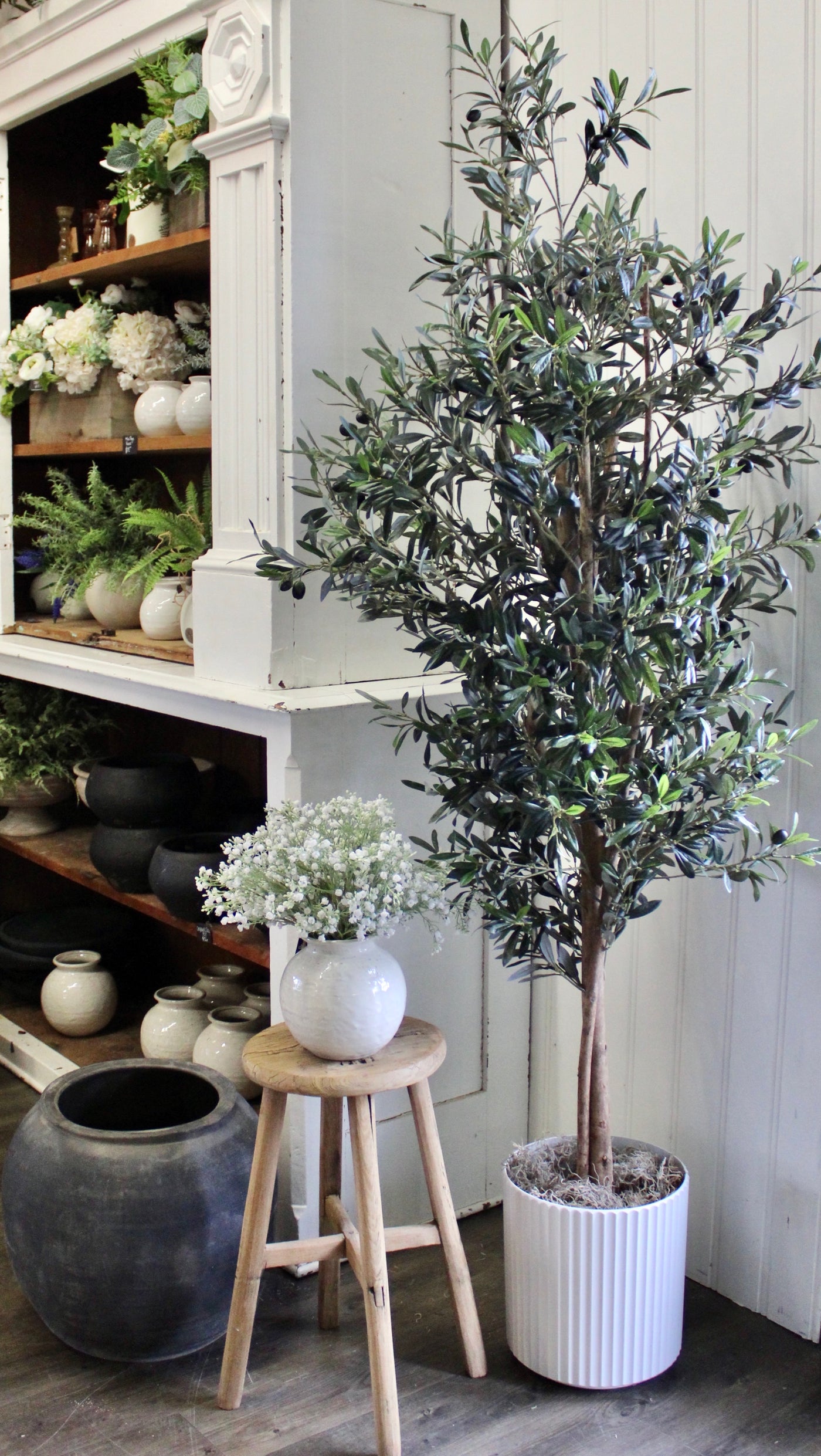 74” Natural Trunk Olive Tree