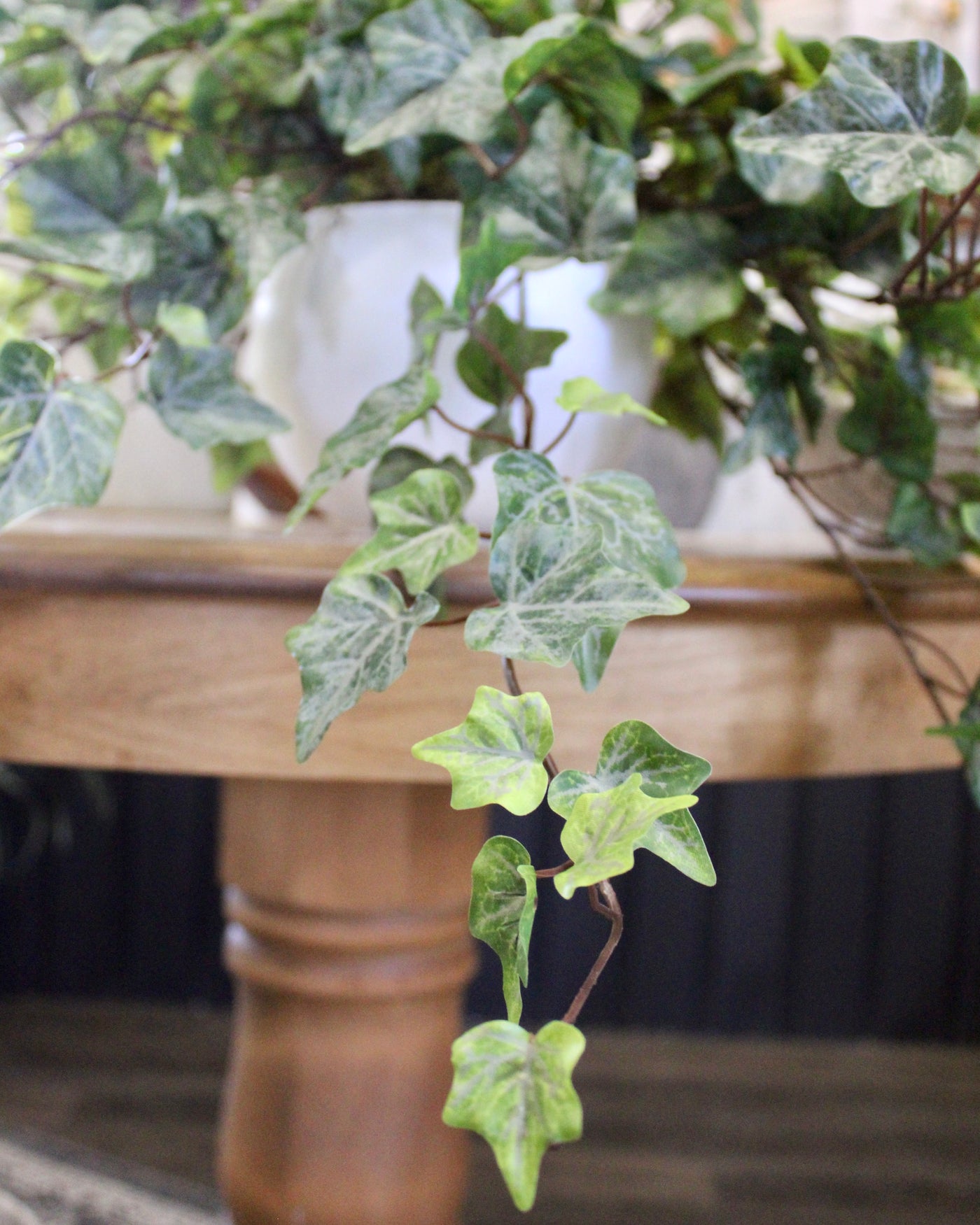 Potted Frosted Green Ivy Bushes