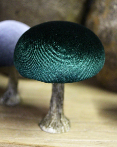 Velvet Mushrooms