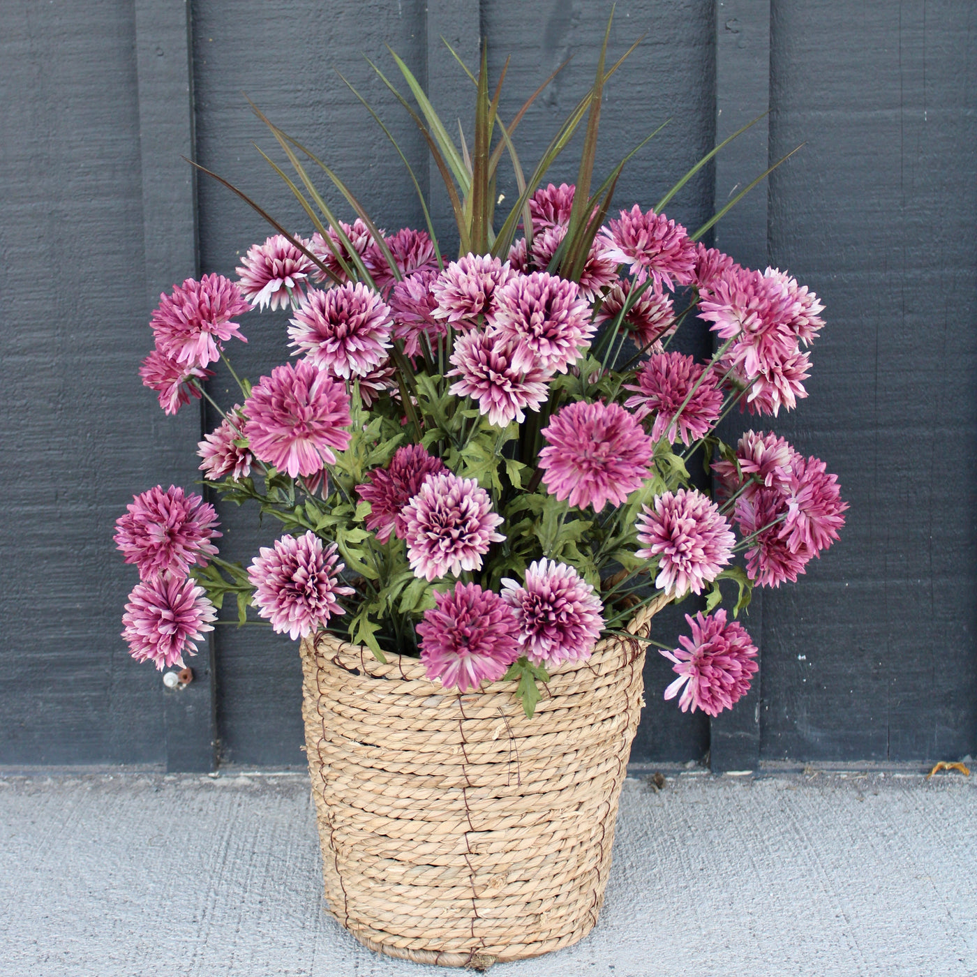 Mauve Mum “Drop-In”