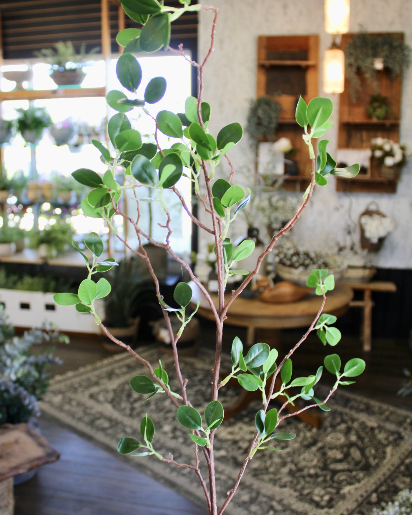 Mini Leaf Ficus Spray