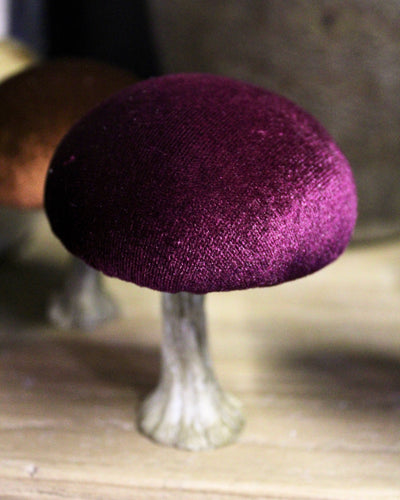 Velvet Mushrooms