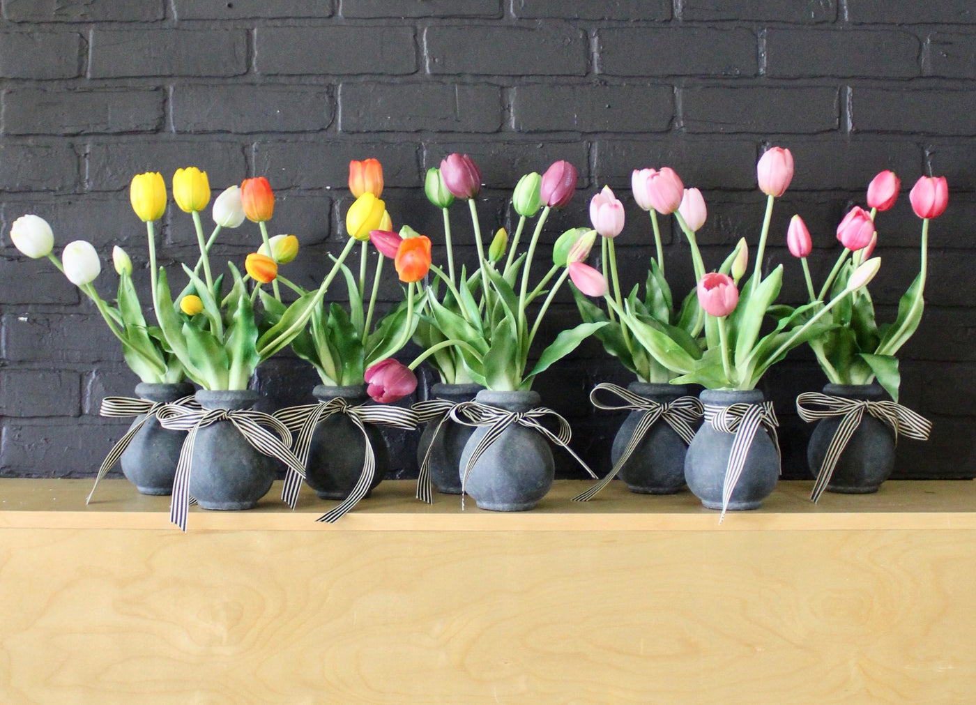 Potted Tulips