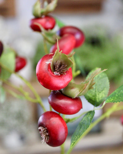 Rose Hip Branch