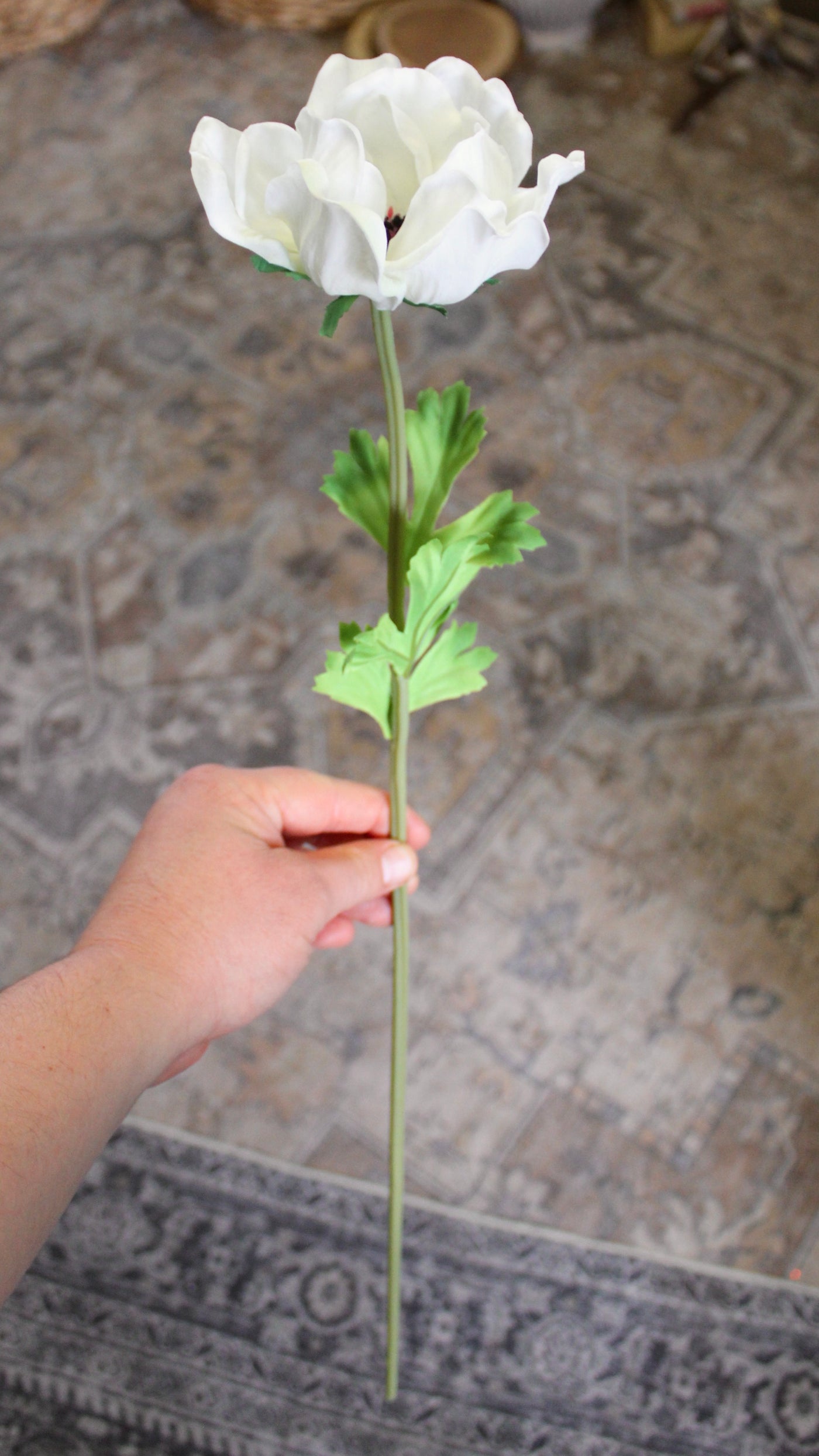White Anemone Stem