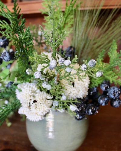 Potted Cedar & Blueberry Arrangement