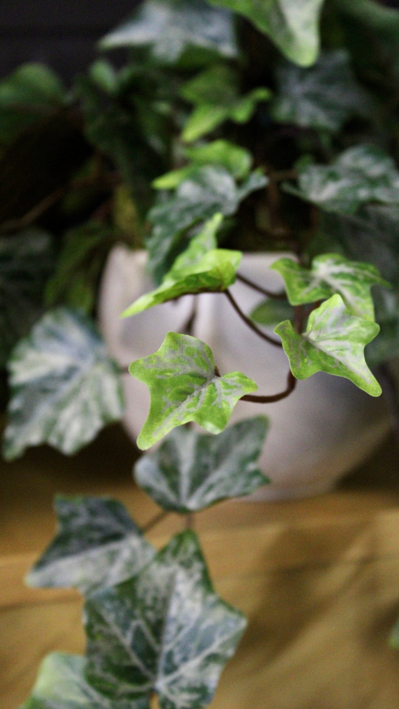 Potted Frosted Ivy Vine